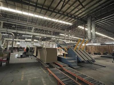 金山的她，榮登上海市表彰名單 紙制品銷售領域的卓越典范